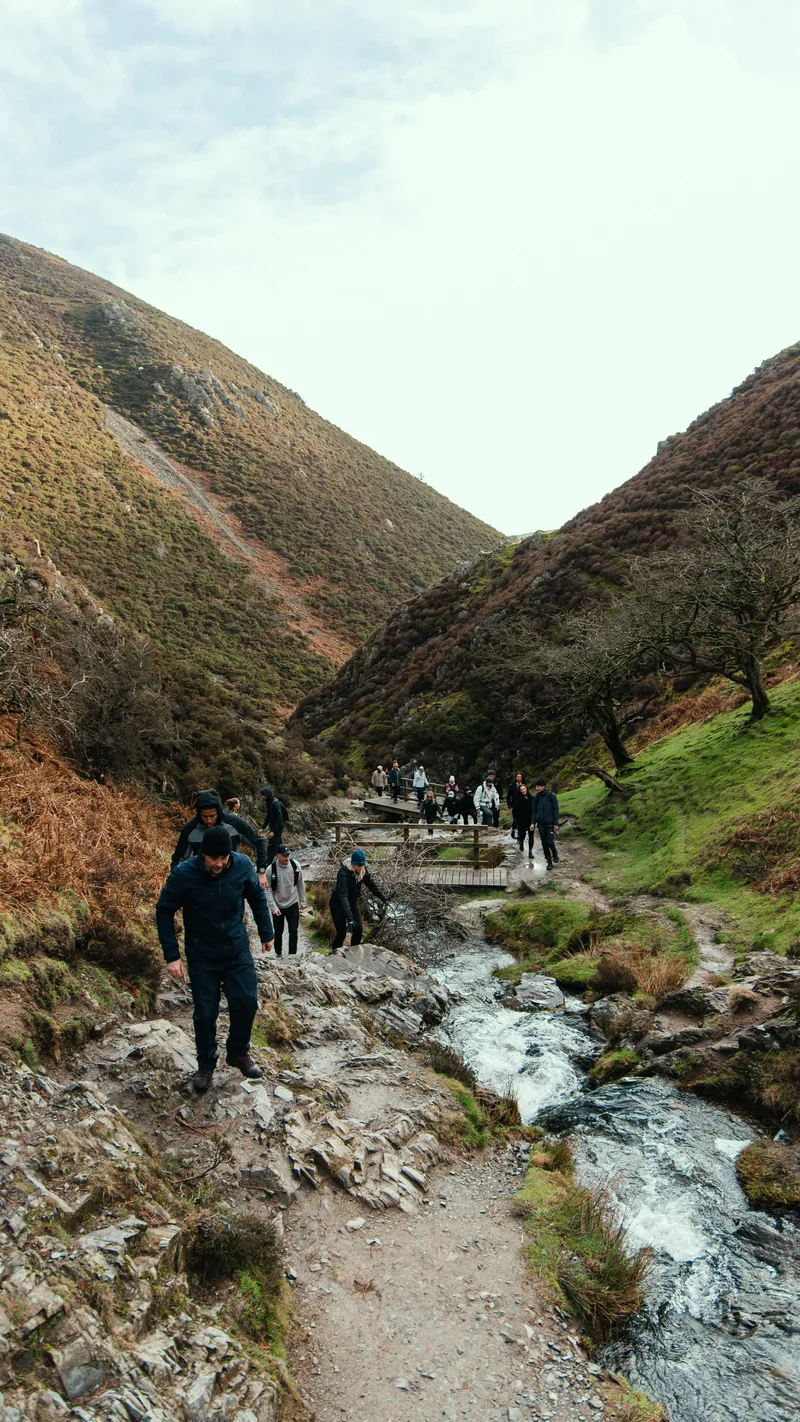 Community hike with Vitális Studios and Alpha Athletic