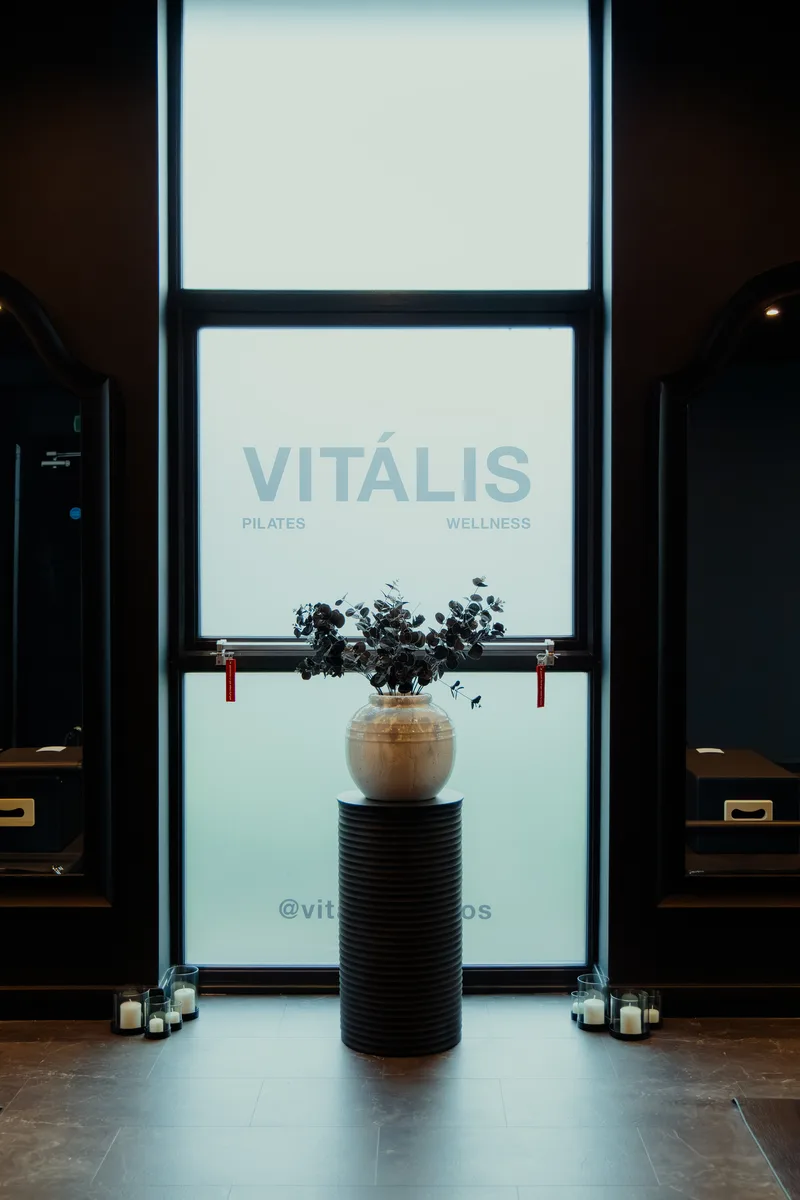 Vit&aacute;lis Studios window signage